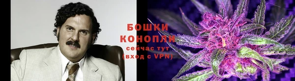 мдпв Мегион