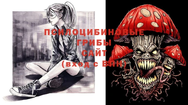 мдпв Мегион