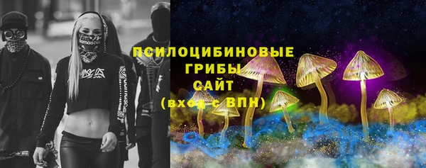 прущие крисы Медвежьегорск