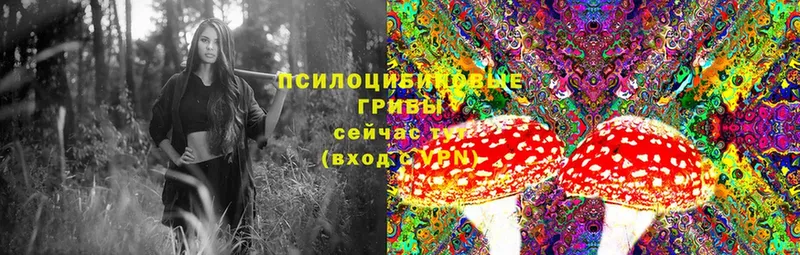 Галлюциногенные грибы Psilocybine cubensis  сайты даркнета клад  Миасс  mega как войти 