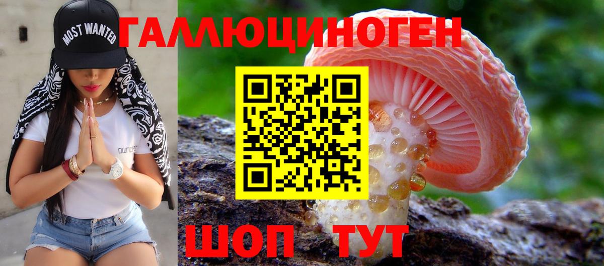 Галлюциногенные грибы прущие грибы Миасс